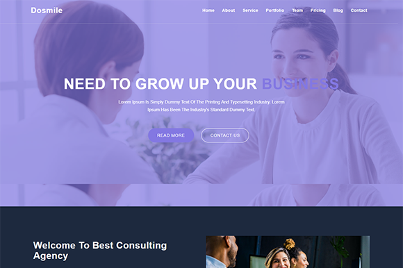 Dosmile Consulting Business Template: A Practical Overview