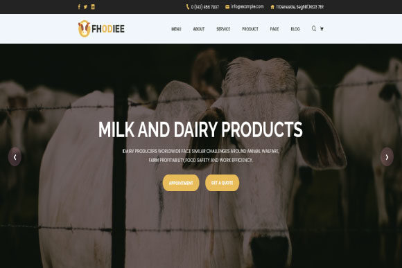 How to Get the Most from Fhodiee – Dairy Farm Eco Products: Avoiding Common Pitfalls